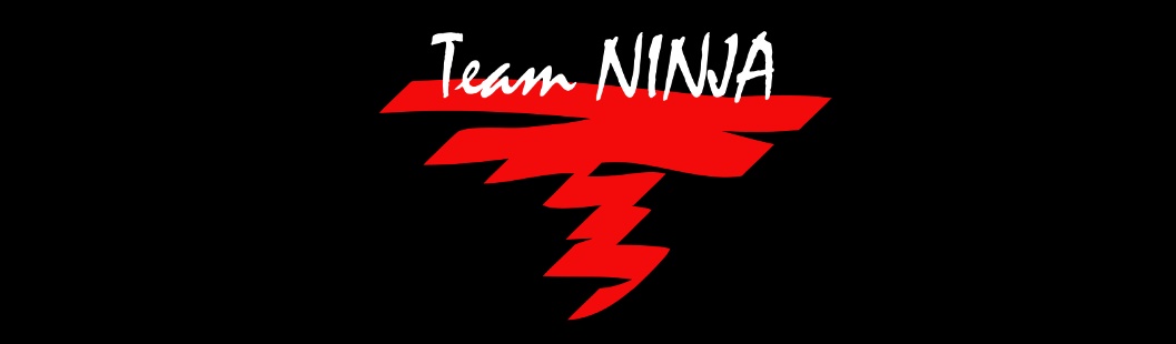 Team Ninja Logo