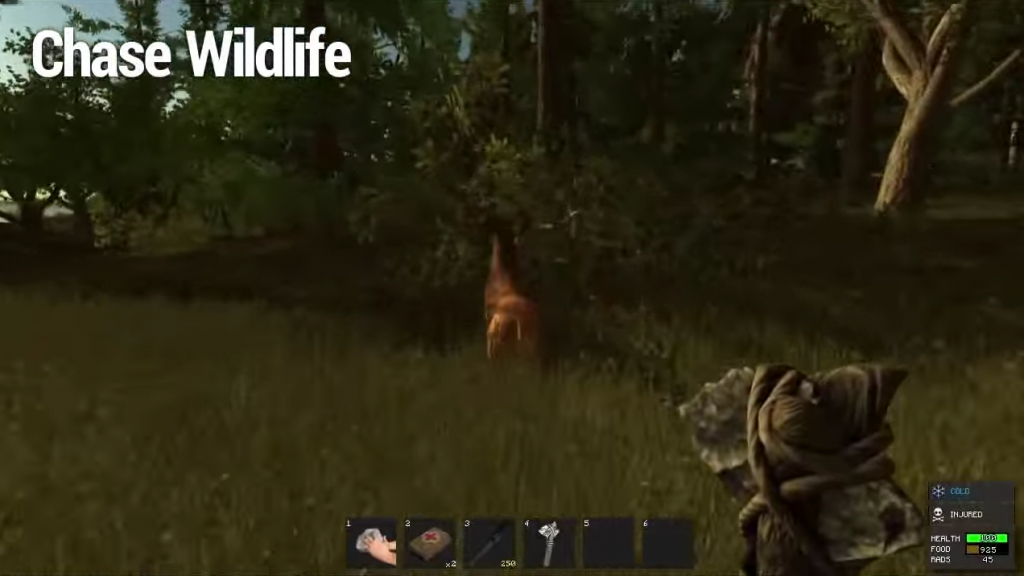 Featured video: Rust Game First Day Trailer